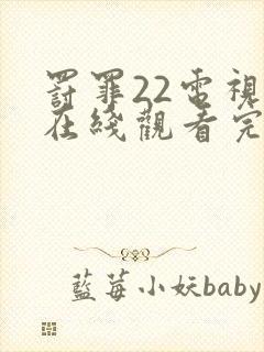 罚罪22电视剧在线观看完整免费高清