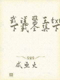 武道医王txt下载全集下载