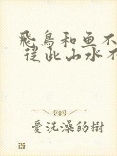 飞鸟和鱼不同路 从此山水不相逢封面
