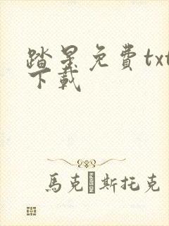 踏星免费txt下载
