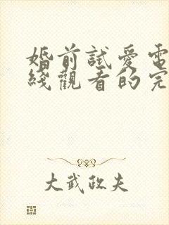 婚前试爱电影在线观看的完整版封面