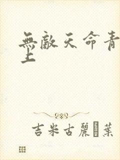 无敌天命青鸾峰上