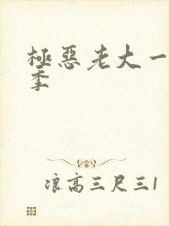 极恶老大一共几季