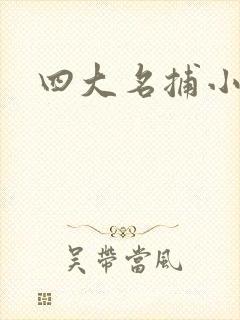 四大名捕小说