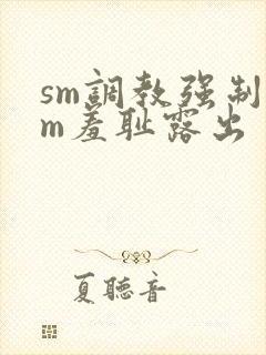 sm调教强制女m羞耻露出