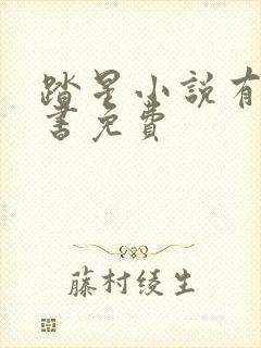 踏星小说有声听书免费