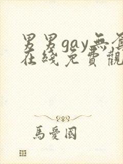 男男gay无套在线免费观看封面