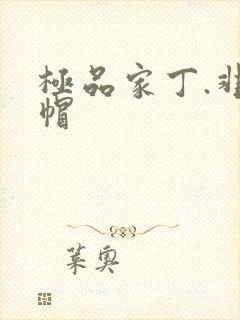 极品家丁.非绿帽