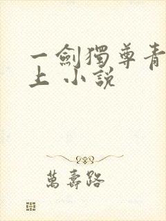 一剑独尊青鸾峰上 小说