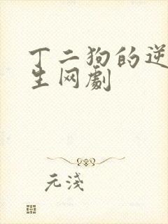 丁二狗的逆袭人生网剧