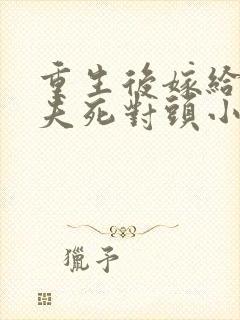 重生后嫁给了前夫死对头小说