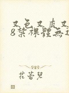 又色又爽又黄18禁裸体无遮挡