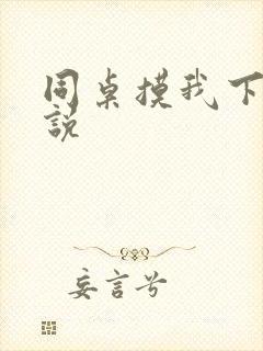 同桌摸我下面小说封面