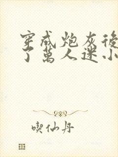 穿成炮灰后我成了万人迷小说封面