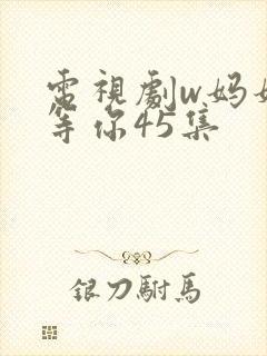 电视剧w妈妈在等你45集封面