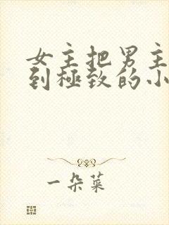 女主把男主囚禁到极致的小说封面