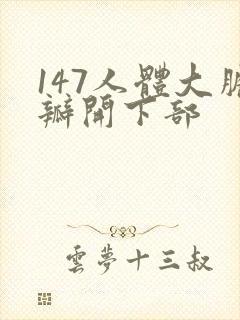 147人体大胆瓣开下部封面