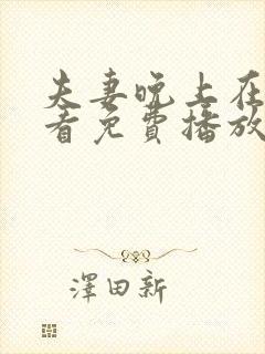 夫妻晚上在线观看免费播放电视剧