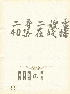 二哥二嫂电视剧40集在线播放