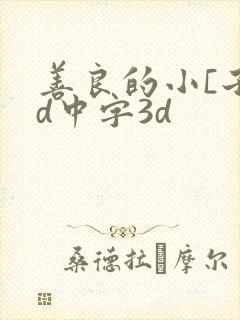善良的小[子hd中字3d