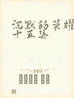 沉默的荣耀第二十五集