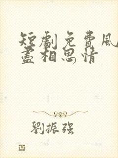 短剧免费风雪无尽相思情封面