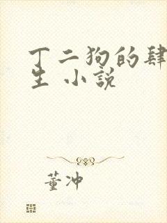 丁二狗的肆意人生 小说封面