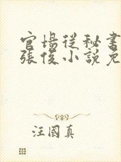 官场从秘书开始张俊小说免费阅读