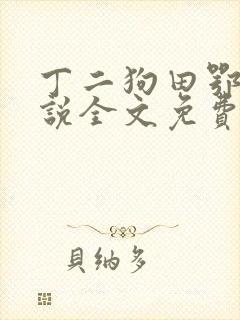 丁二狗田鄂茹小说全文免费阅读