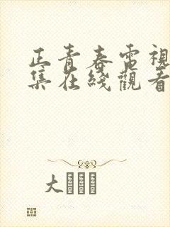 正青春电视剧全集在线观看免费