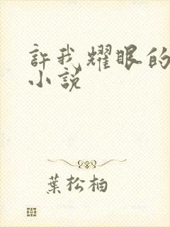 许我耀眼的原著小说