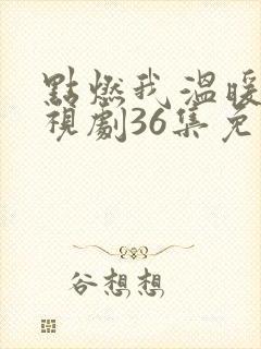 点燃我温暖你电视剧36集免费观看封面