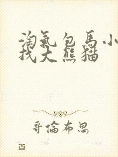 淘气包马小跳寻找大熊猫