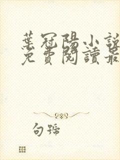 叶冠阳小说全文免费阅读最新章节