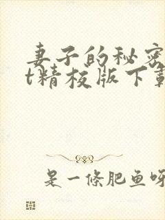 妻子的秘密txt精校版下载