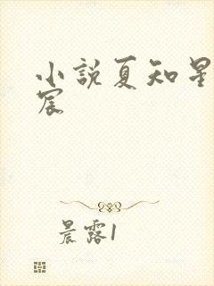 小说夏知星薄夜宸