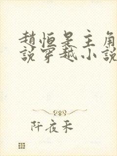 赵恒是主角的小说穿越小说