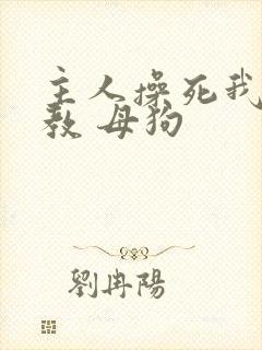 主人操死我 调教 母狗封面