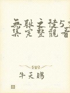 无耻之徒5季全集完整观看