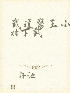 武道医王小说txt下载封面