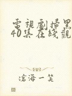 电视剧扫黑风暴40集在线观看免费