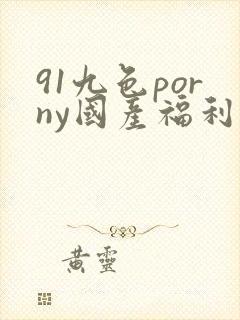 91九色porny国产福利