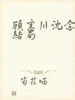 顾寒川沈念小说结局