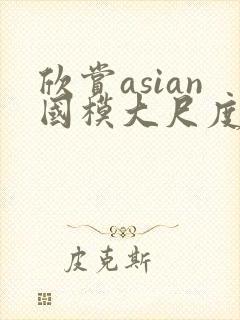 欣赏asian国模大尺度pics
