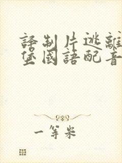 译制片逃离索比堡国语配音