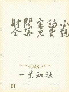 财阀家的小儿子全集免费观看高清