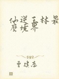 仙逆王林最后什么境界