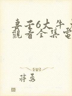 妻子6大牛免费观看全集电视剧封面