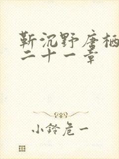 靳沉野唐栖雾第二十一章封面