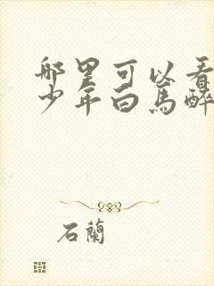 哪里可以看全集少年白马醉春风封面